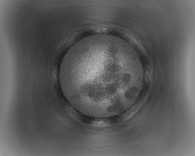 X0000112910561200908311239