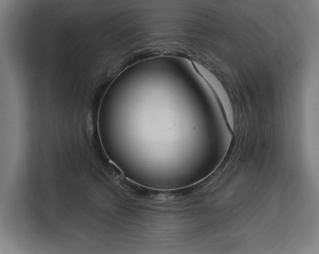 X0000112910562200908311239