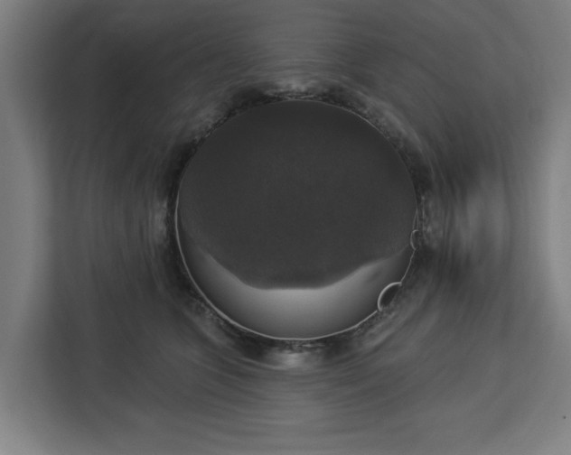 X0000112910563200908311239