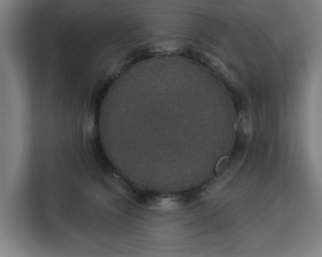 X0000112910564200908311239