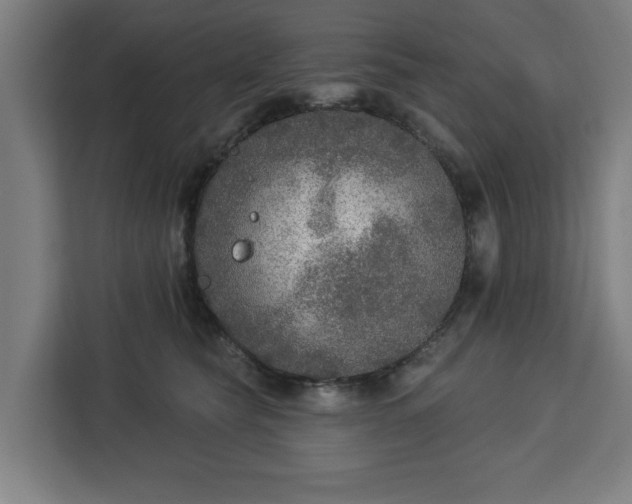 X0000112910565200908311239