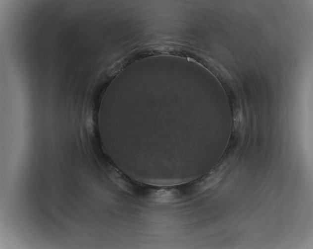 X0000112910566200908311239