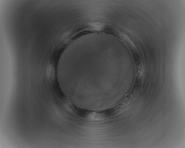 X0000112910568200908311239