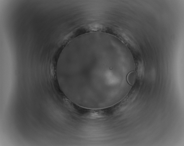 X0000112910569200908311239