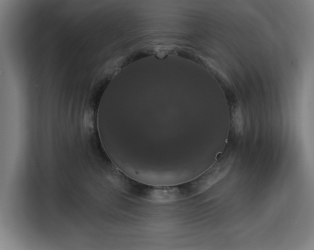 X0000112910571200908311239