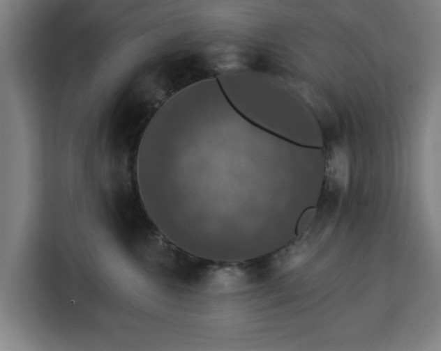 X0000112910572200908311239