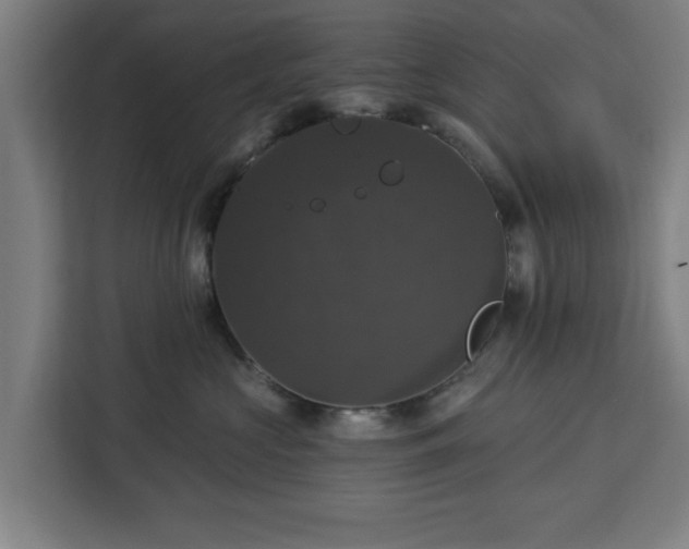 X0000112910573200908311239