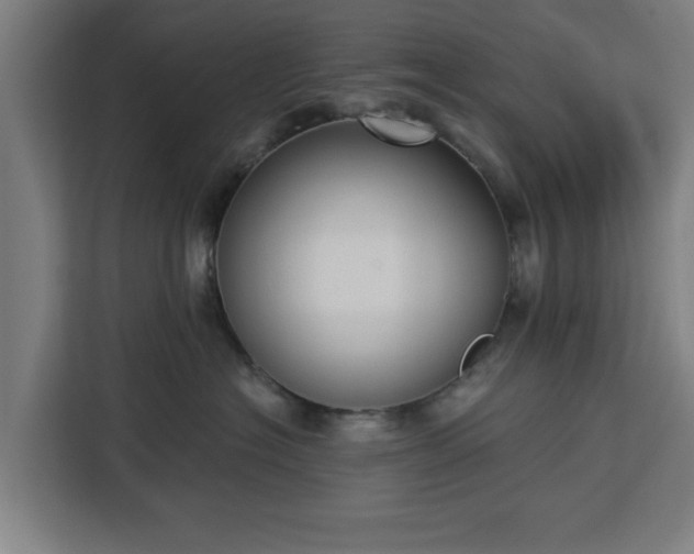 X0000112910574200908311239