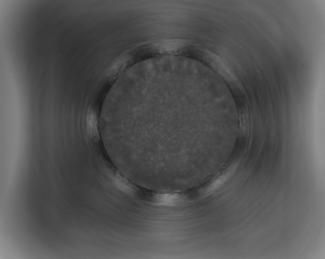 X0000112910575200908311239