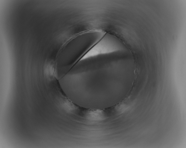 X0000112910576200908311239