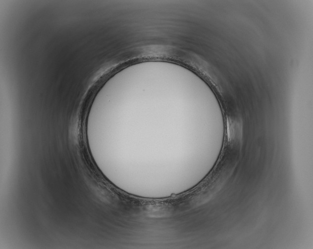 X0000112910579200908311239