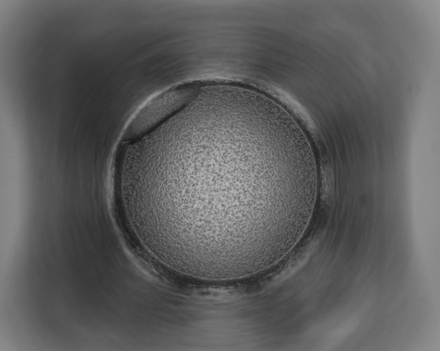 X0000112910580200908311239