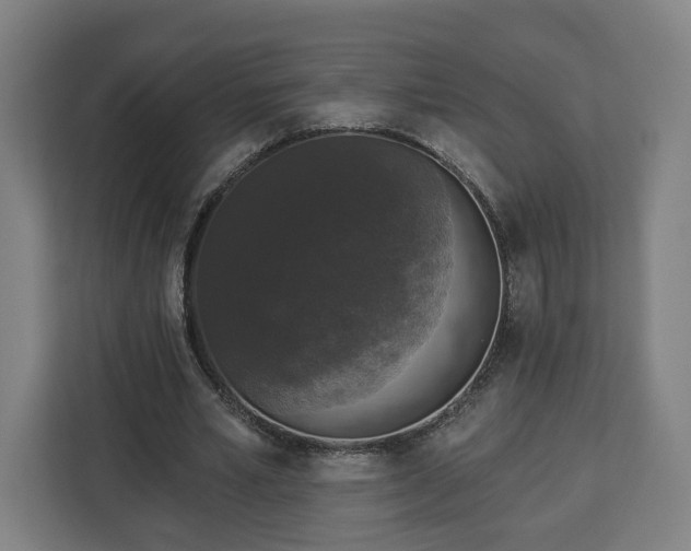 X0000112910581200908311239