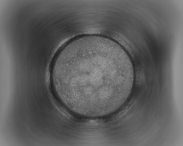 X0000112910584200908311239