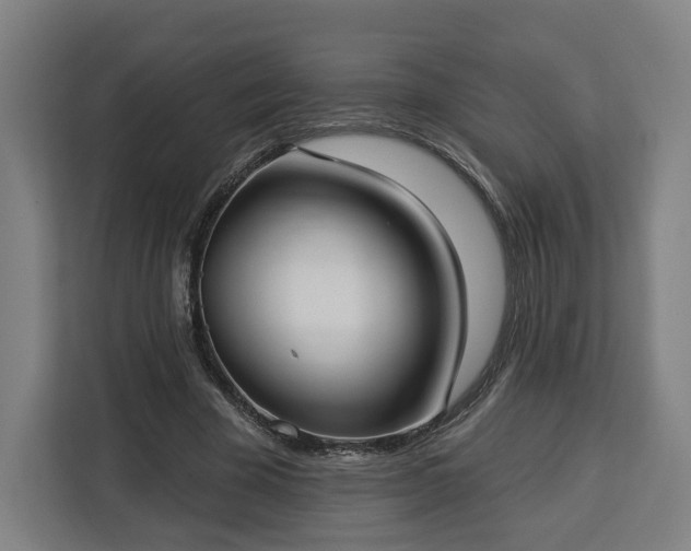 X0000112910585200908311239