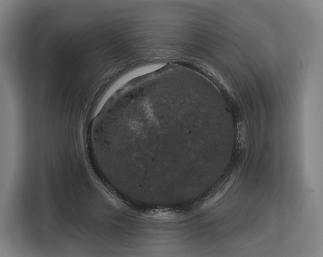 X0000112910589200908311239