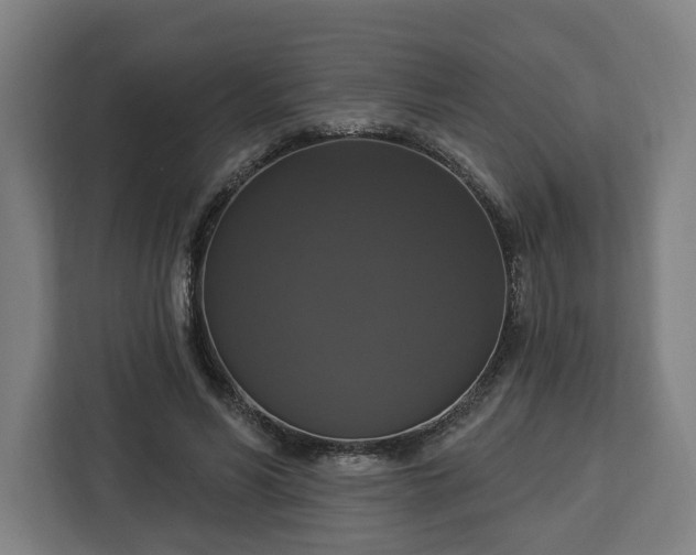 X0000112910590200908311239