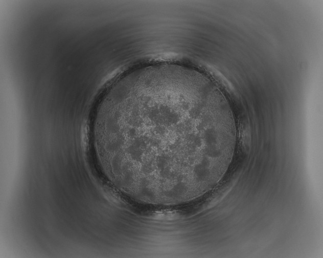 X0000112910591200908311239