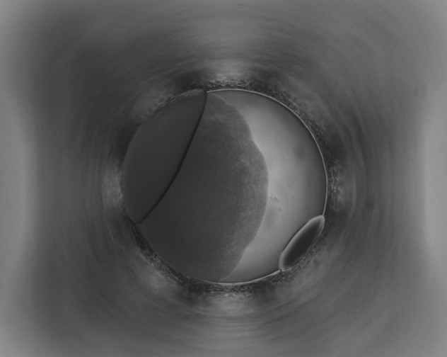 X0000112910593200908311239