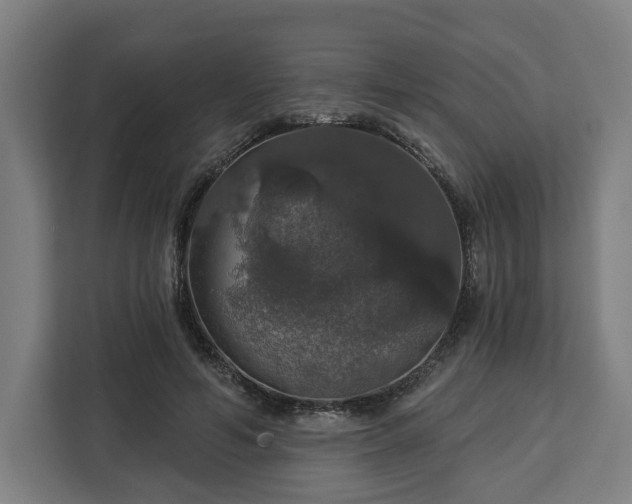 X0000112910594200908311239