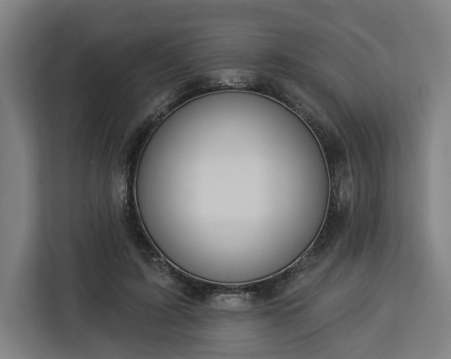 X0000112910595200908311239