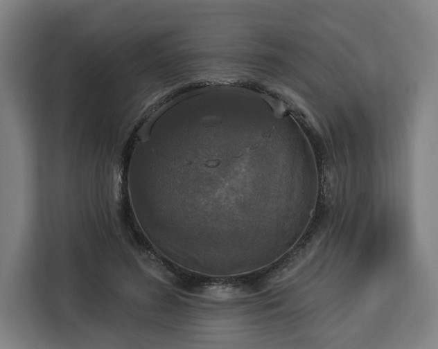 X0000112910596200908311239