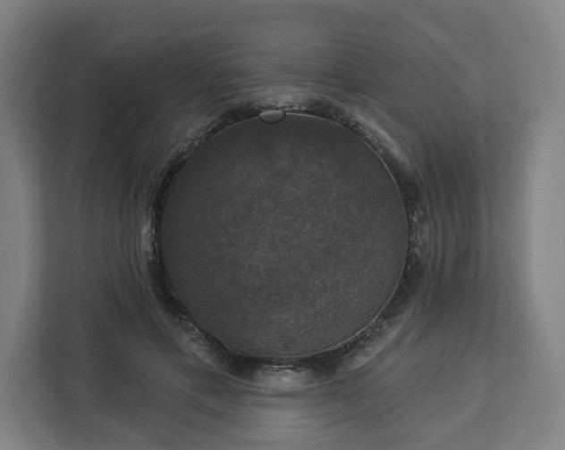 X0000112910597200908311239