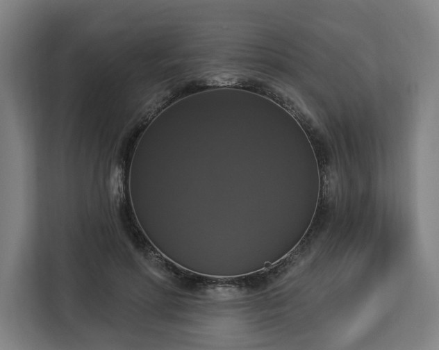 X0000112910598200908311239