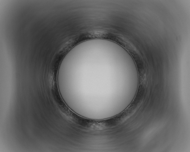 X0000112910599200908311239