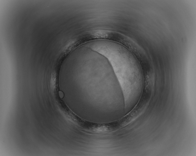 X0000112910600200908311239