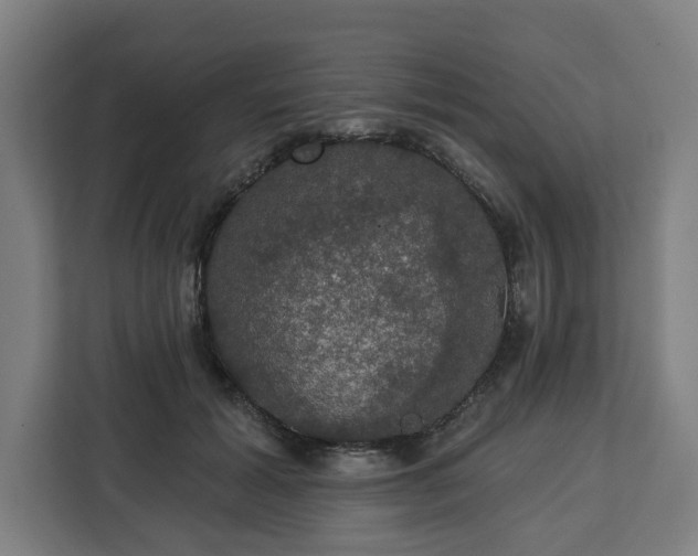 X0000112910605200908311238