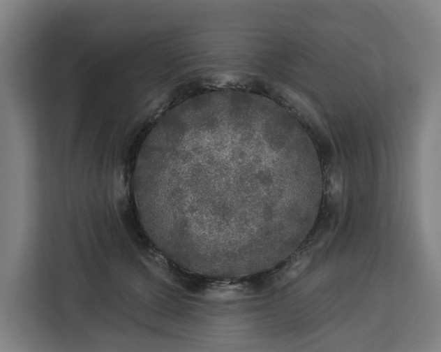 X0000112910607200908311238