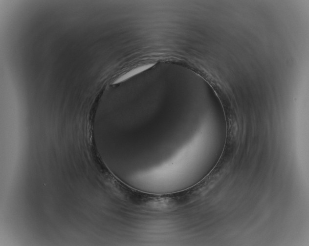 X0000112910609200908311238