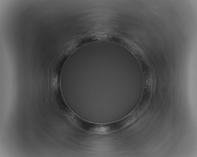 X0000112910610200908311238