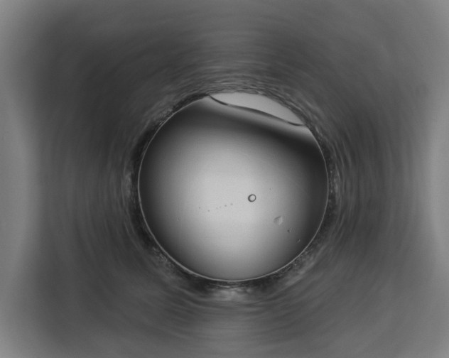 X0000112910611200908311238