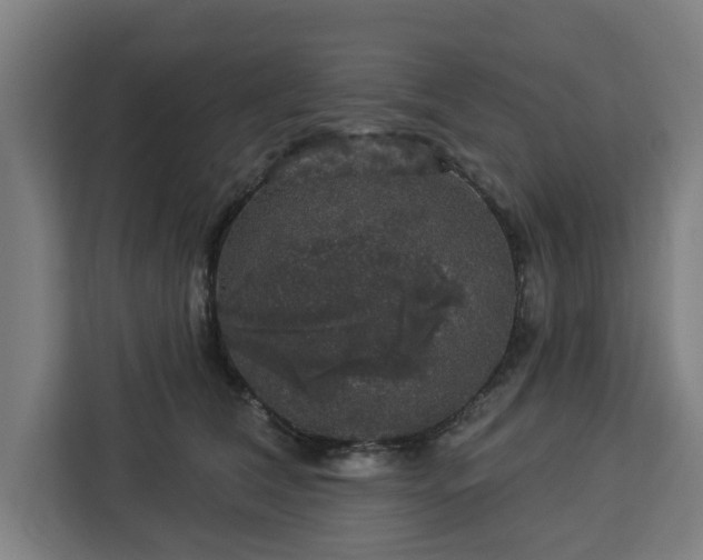 X0000112910612200908311238