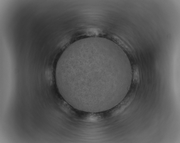 X0000112910616200908311238