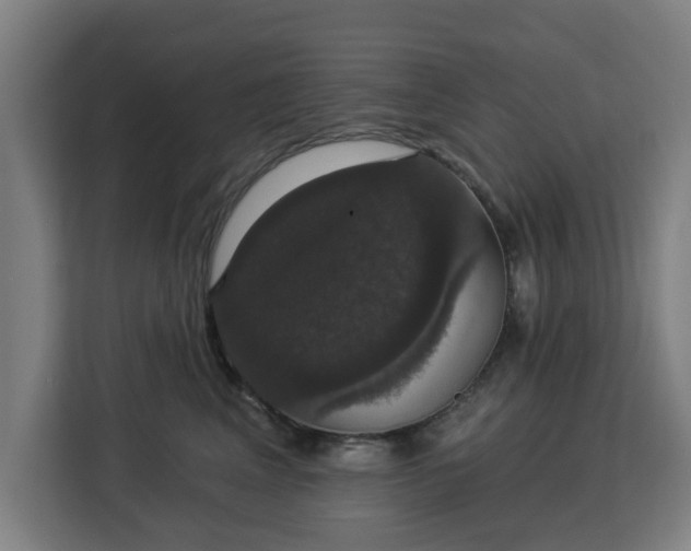 X0000112910617200908311238