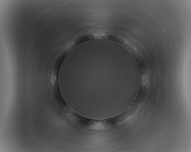 X0000112910618200908311238