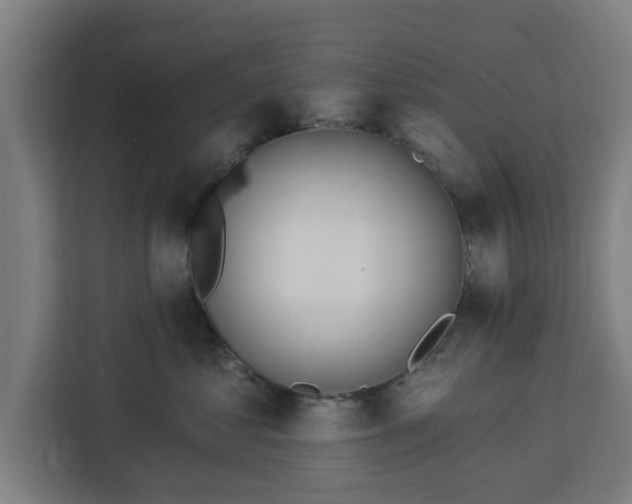 X0000112910621200908311238