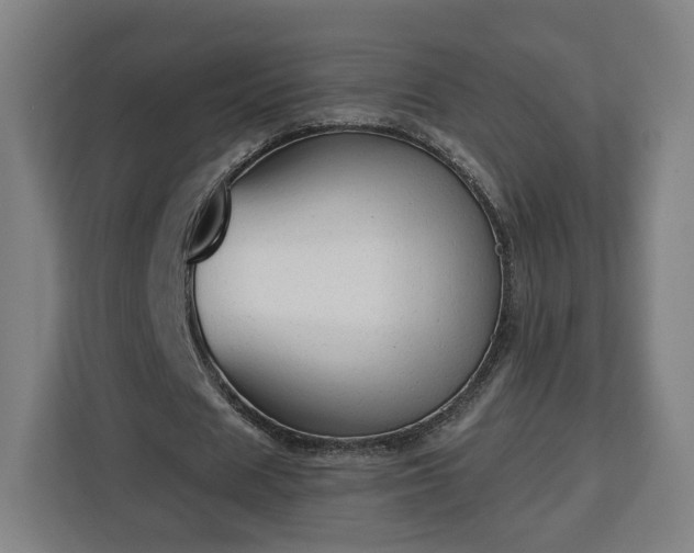 X0000112910625200908311238