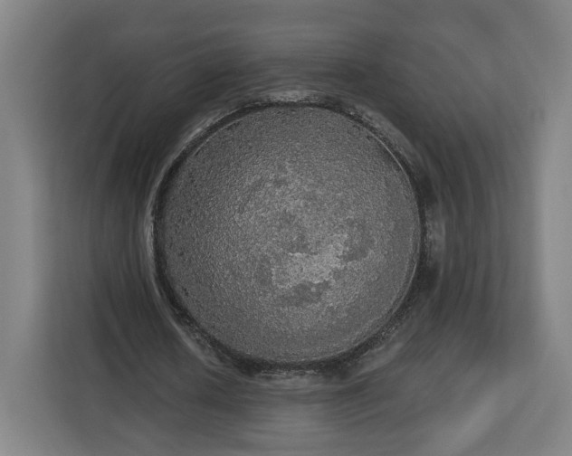 X0000112910626200908311238