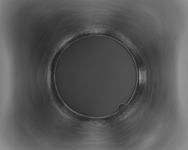 X0000112910627200908311238