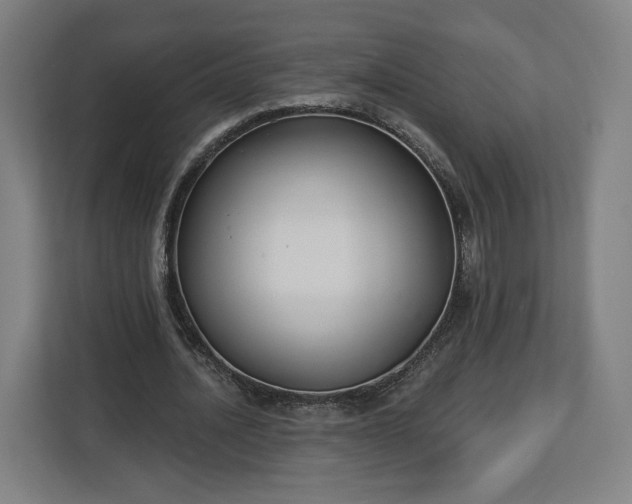 X0000112910628200908311238