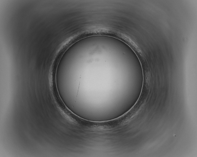 X0000112910629200908311238