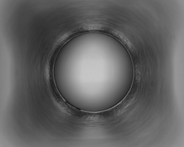 X0000112910631200908311238