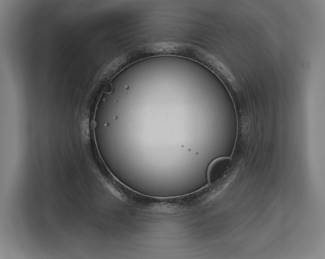 X0000112910633200908311238