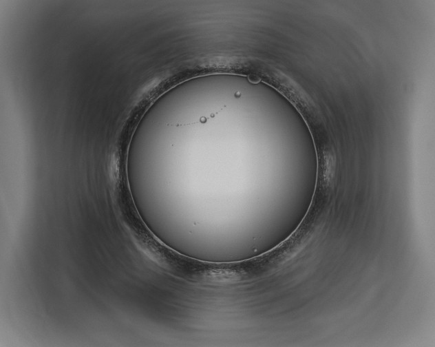 X0000112910636200908311238