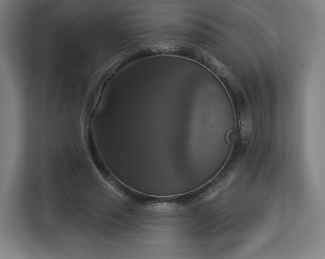 X0000112910637200908311238