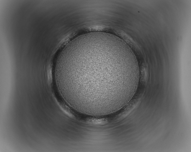 X0000112910638200908311238